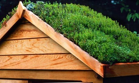 Add a Green Roof to Your Shed | Sheds.co.uk Structural Plants, Lychnis Chalcedonica, Green Roof Planting, Living Green Roof, Roof Plants, Green Roof Garden, Green Roof House, Grass Roof, Green Roofs