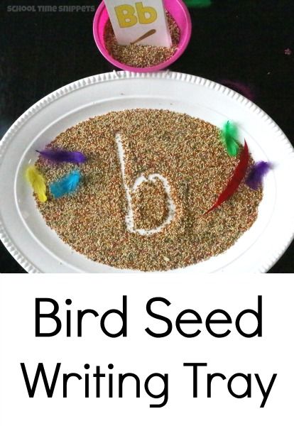 Bird Seed Sensory Writing Tray for Preschoolers! from School Time Snippets. Pinned by SOS Inc. Resources. Follow all our boards at pinterest.com/sostherapy/ for therapy resources. Bird Preschool Activities Art Projects, Bird Letter Activity, Bird Nest Activities Preschool, Birds Lesson Plans Preschool, Bird Activity Preschool, Spring Occupational Therapy Activities, Bird Preschool Activities, Spring Animals Preschool, Birds Activities Preschool