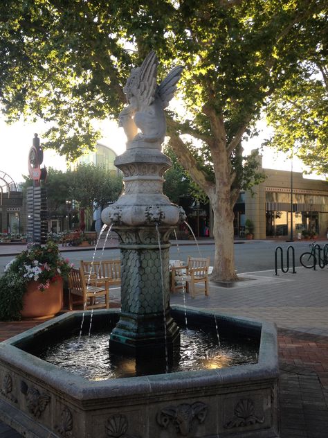 Downtown Walnut Creek,CA Walnut Creek California, San Gabriel Mountains, Local Pride, Walnut Creek, Central Valley, Cherry Flavor, East Bay, California Homes, Sweet Sweet