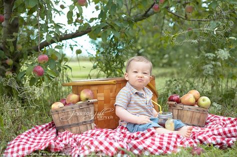 Aller cueillir des pommes. C'est fait ! Apple Orchard Photography, Apple Orchard Pictures, Fall Baby Photos, Picnic Photo Shoot, Old Macdonald Had A Farm, Mini Photo Sessions, Foto Newborn, Old Macdonald, Fall Picnic