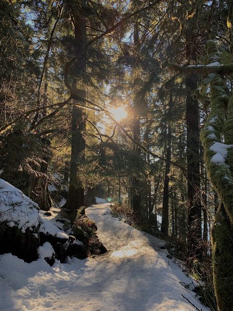 Mountain Aesthetic, Mountains Aesthetic, Sokcho, Lake Side, Winter Mountain, Winter Inspo, Winter Nature, Winter Love, Winter Scenery