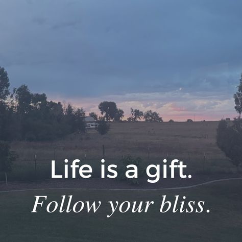 Hopeful Quotes, Allow Yourself To Feel, Follow Your Bliss, Life Is Beautiful Quotes, Let Go And Let God, Life Is A Gift, Inner Guidance, Fandom Memes, Hope Quotes