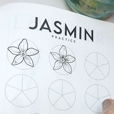 How To Draw Jasmine Step By Step, Jasmin Flower Drawing, Jasmine Drawing Flower, Jasmine Flower Drawing, Jasmine Drawing, 2023 Drawing, Drawing Beautiful, Instagram Drawing, Flower Artists