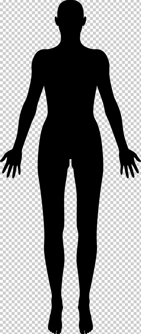 The Human Body Aesthetic, Body Sillhoute, Body Silhouette Art, Human Body Outline, Human Body Silhouette, Human Png, Person Png, Body Silhouette, Body Outline