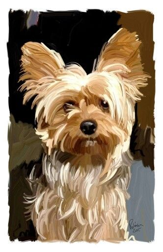 Yorkie Painting, Chien Yorkshire Terrier, Dog Portraits Painting, Dog Portraits Art, Drawing Dog, Yorkie Terrier, Silky Terrier, Collage Art Projects, Dog Sketch