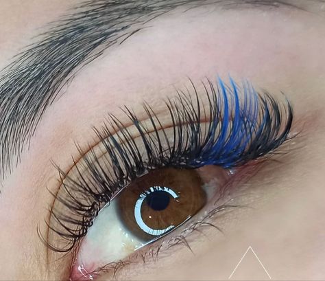 Color Eyelash Extensions, Arabic Eye Makeup, Small Lashes, Eyelash Extensions Styles, Lash Extensions Styles, Cute Eye Makeup, Perfect Eyelashes, Natural Eyelash Extensions, Eyelash Extentions