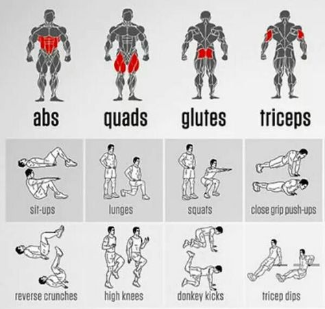 Exercises V Shape Workout Men, V Shape Workout, Batman Workout, Building Motivation, Shape Workout, Full Body Stretching Routine, Workouts To Tone, V Cut Abs, Body Stretching