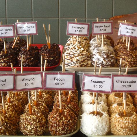 Caramel And Candy Apples, Smores Candy Apple, Dipped Apples Gourmet, Gourmet Apples Ideas, Gourmet Caramel Apples Ideas, Candy Apples Ideas, Caramel Marshmallows, Dipped Apples, Halloween Candy Apples