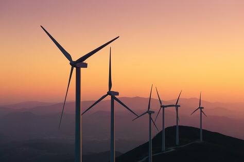 A subsidy on wind farms will continue for one more year. Wind Power Generator, Sustainable Marketing, Offshore Wind Farms, Farm Projects, Landscaping Images, Offshore Wind, Wind Turbines, Wind Farm, Energy Industry