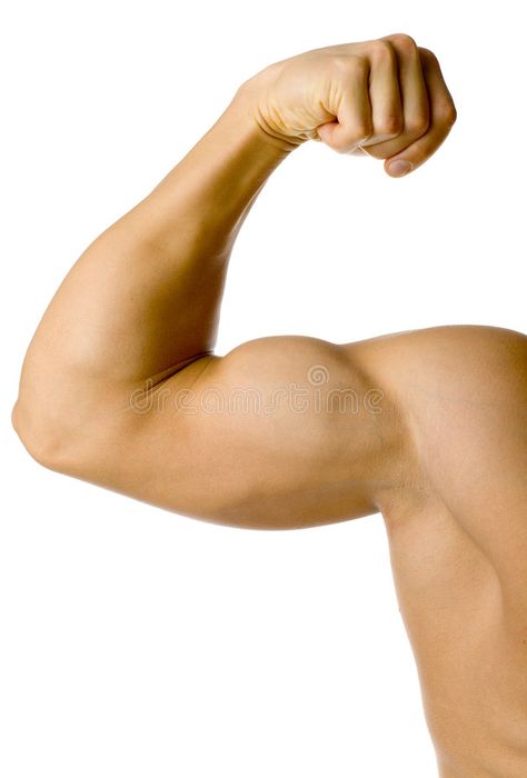 Flexing Muscles Pose Reference, Elbow Anatomy, Arm Anatomy, Anatomy Practice, How To Get Bigger, Coke Zero, Arm Muscles, Anatomy Study, Biceps Workout