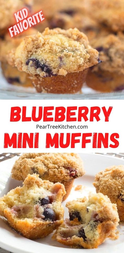 Mini Blueberry Muffins Frozen Blueberries, Mini Blueberry Muffin Recipe, Easy Mini Blueberry Muffins, Blueberry Muffins From Package, Banana Blueberry Mini Muffins, Blueberry Muffins Mini, Mini Blueberry Muffins Healthy, Best Mini Blueberry Muffins, Best Mini Muffin Recipes