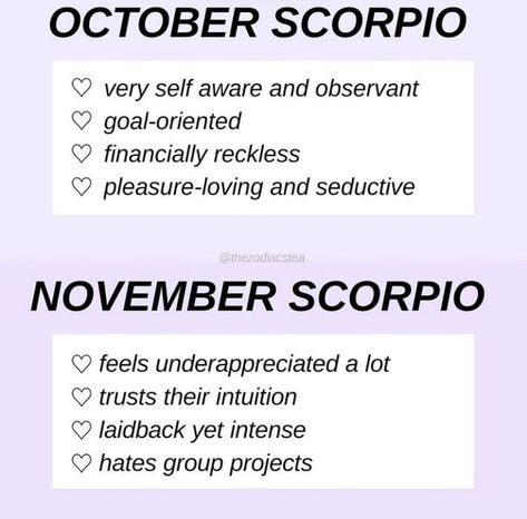 October Scorpio, November Scorpio, Zodiac Mind Scorpio, All About Scorpio, Zodiac Quotes Scorpio, Astrology Scorpio, Zodiac Signs Chart, Scorpio Love, Scorpio Zodiac Facts