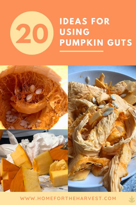 Using Pumpkin Guts, Things To Do With A Pumpkin, Uses For Pumpkin Guts, Pumpkin Pulp Uses, What To Do With Inside Of Pumpkin, Recipes Using Pumpkin Guts, Pumpkin Flesh Recipe, Carving Pumpkin Recipes, Recipes For Pumpkin Guts