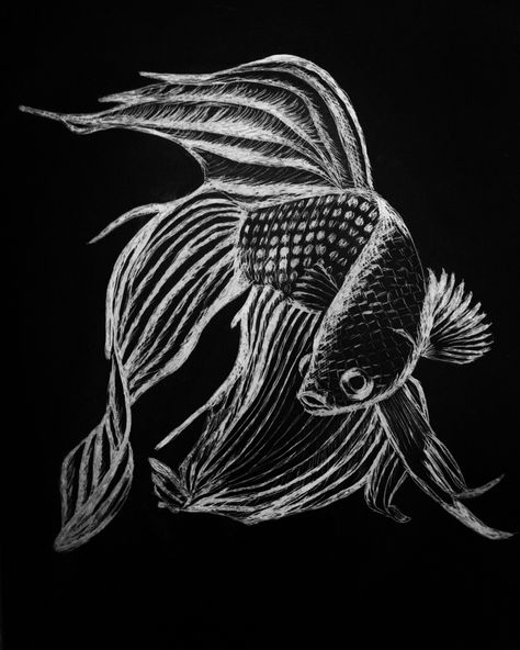 My first Scratchboard 5" x 7" Scracht Art, Scratch Board Ideas, Scratchboard Art Easy, Scratchboard Art Ideas, Scratch Art Ideas Easy, White Drawing On Black Paper, Scratch Board Art, Scratch Art Ideas, Scratchboard Techniques