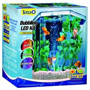 Hexagon Aquarium, Axolotl Tank, Desktop Aquarium, Small Fish Tanks, Betta Aquarium, Led Aquarium, Betta Tank, Betta Fish Tank, Beta Fish