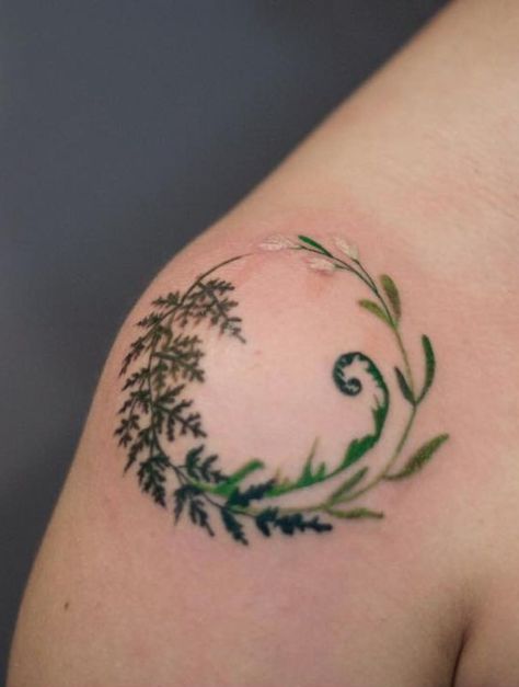 A Tattoo, Tattoo On, Tattoo Design, Fern, Tell Me, Tattoos, Green, Design