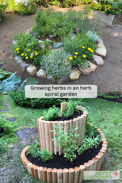 Herb Spiral Garden, Backyard Herb Garden, Herb Spiral, Easy Herbs To Grow, Witchy Garden, Spiral Garden, Outdoor Herb Garden, Tattoo Plant, Medicinal Herbs Garden