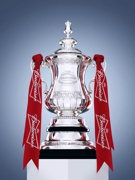 Fa Cup Trophy, Football Marketing, Football Trophies, Wigan Athletic, Blackburn Rovers, Semi Final, National League, Fa Cup, Swansea