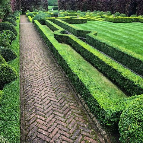 James Todman on Twitter: "One section trimmed #topiary… " Herringbone Brick Walkway, Herringbone Walkway, Herringbone Paving, Brick Herringbone, Garden Walkways, Herringbone Brick, Paving Pattern, Brick Walkway, Outdoor Walkway