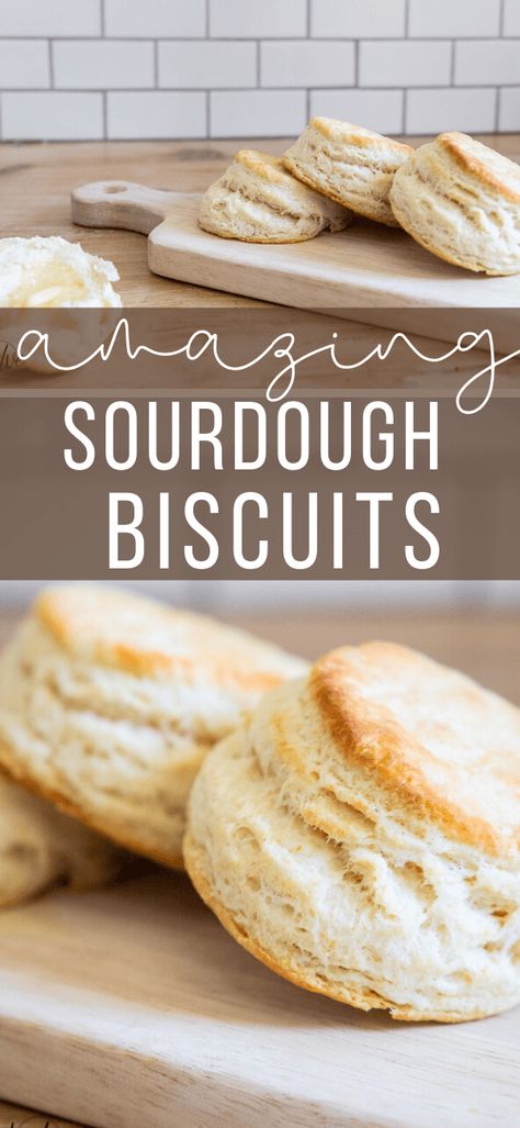 How to make the easiest flakey biscuits using sourdough discards! You can also use this recipe to easily make them without it as well! Very versatile! Sourdough Discard Biscuits, Discard Biscuits, Flakey Biscuits, Sourdough Biscuits, Recipe Using Sourdough Starter, Dough Starter, Sourdough Starter Discard Recipe, Homemade Sourdough Bread, Bread Starter