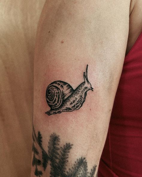 Samantha Hughes (@samsfindings) • Instagram photos and videos Two Headed Snail Tattoo, Botanical Snail Tattoo, Garden Snail Tattoo, Sea Snail Tattoo, Earth Worm Tattoo, Cool Bug Tattoos, Rollie Pollie Tattoo, Small Snail Tattoo, Snail Tattoo Design