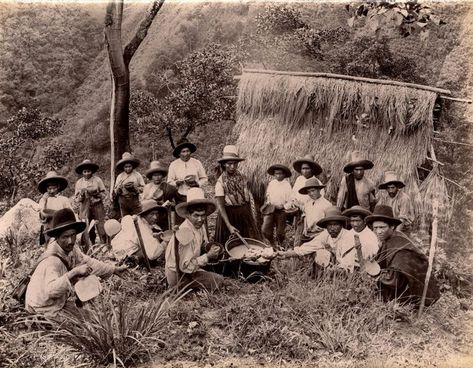 Las inéditas y extraordinarias fotos francesas que revelan la Colombia del siglo XIX - BBC News Mundo Uk News, Bbc News, Railroad Tracks, No Se, Bbc, Concert, History, Film, Photographer