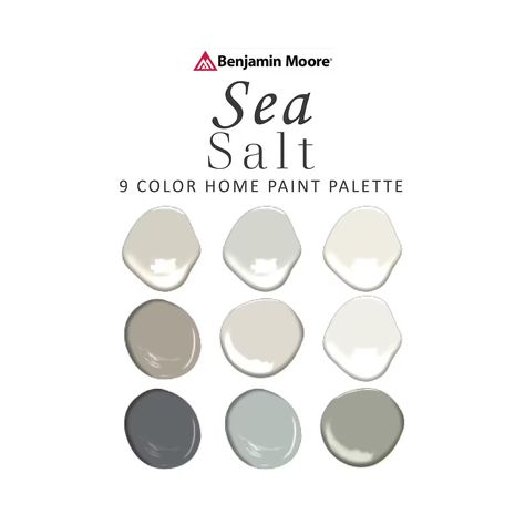 Sea Green Paint Colors, Sea Salt Kitchen Cabinets, Paint Color 2023, Sea Salt Coordinating Colors, Sea Salt Paint Color, Benjamin Moore Sea Salt, Paint Sheen Guide, Salt Paint, Sea Salt Paint