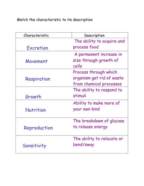 Characteristics Of Living Things, Muscle Diagram, Science Diagrams, Earth Activities, Birthday Chart, Classroom Preparation, Biology Worksheet, Similes And Metaphors, Biology Facts