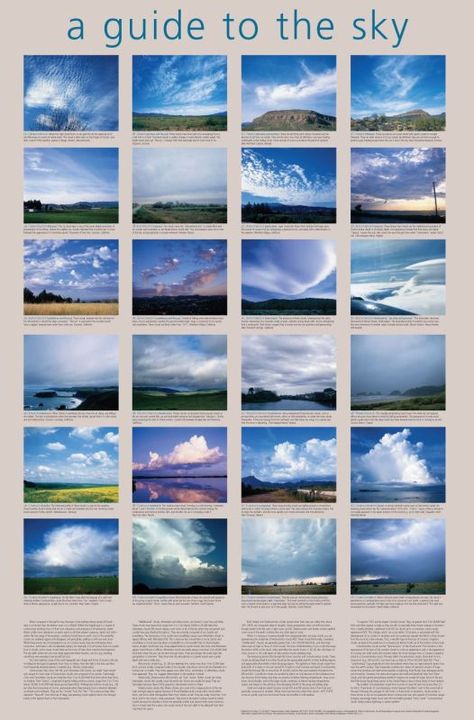 Cloud Types, Cloud Poster, Types Of Clouds, Cloud Type, Weather Science, Type Poster, Clouds In The Sky, Earth And Space Science, Human Body Systems