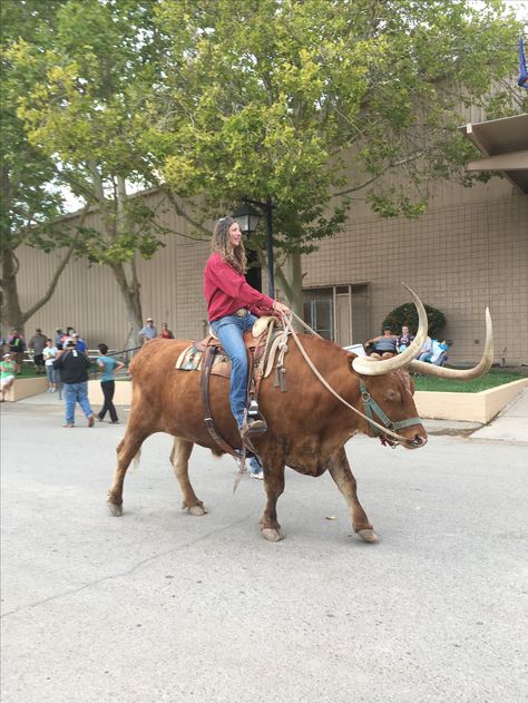 Legendary Longhorns . Cowgirl riding a broke steer Riding A Cow, Cow Riding, Homesteading Animals, Horse Quotes Funny, Show Goats, Country Girl Life, Bull Cow, Western Horse Tack, Animals Amazing