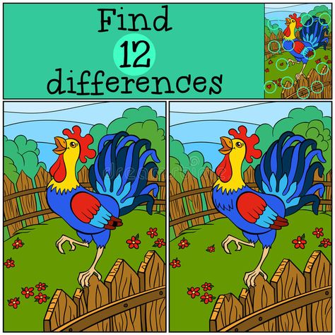 Children games: Find differences. Cute beautiful rooster. stock illustration Spot The Difference Kids, Find The Difference Pictures, Beautiful Rooster, Verbs For Kids, Find The Differences Games, Funny Illusions, Children Games, Learn Arabic Online, Math Riddles