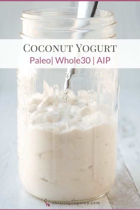 Aip Condiments, Coconut Yogurt Recipe, Aip Keto, Aip Foods, Autoimmune Diet Recipes, Aip Diet Recipes, Aip Snack, Paleo Condiments, Aip Breakfast