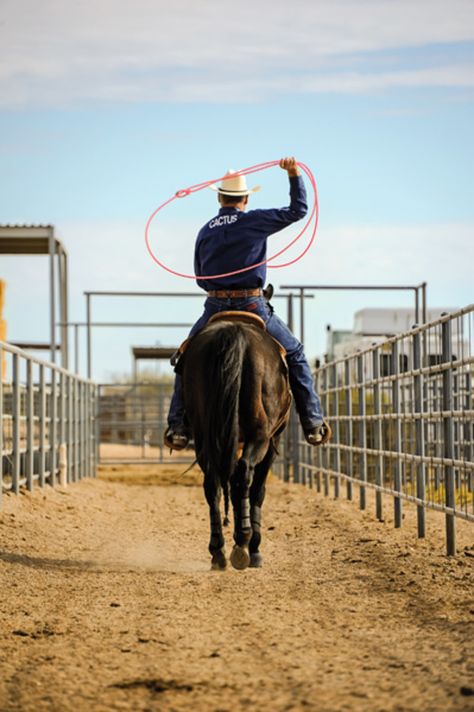 Team Roping Senior Pictures, Rodeo Senior Pictures Roping, Tie Down Roping, Team Roping Aesthetic, Roping Photoshoot, Roping Photography, Roping Horses, Roping Horse, Horse Senior Pictures