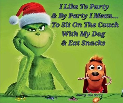 Christmas Quotes Grinch, Grinch Memes, Sister Bond Quotes, Grinch Images, Grinch Stuff, Christmas Contests, Grinch Quotes, Funny Day Quotes, Christmas Memes