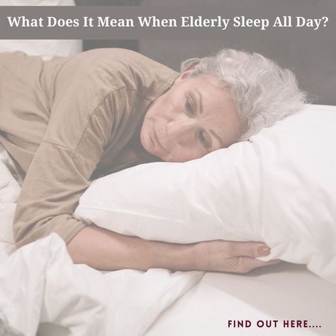 Find here the hidden reasons why they are sleeping too much. Sleep Faster, Sleeping A Lot, Retirement Living, Sleeping Too Much, Sleeping All Day, How To Sleep Faster, Too Much, Bean Bag Chair, Sleep