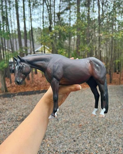 Schleich Horses, Model Houses, Bryer Horses, Horse Toys, Breyer Horse, Hobby Horses, Animal Anatomy, Model Horses, Breyer Horses