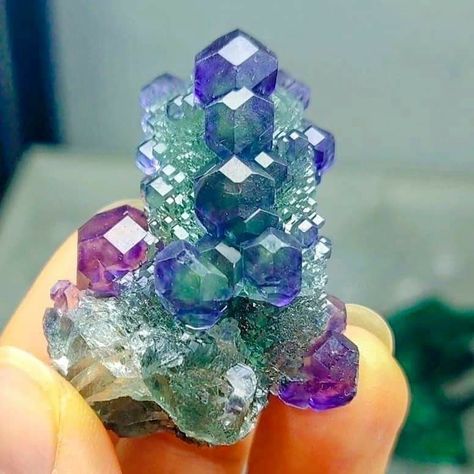 Check out this incredible Blue Transparent Step Fluorite from Quanzhou, Fujian, China. Photo Copyright ©️ @wangjinfang2010 Minerals Museum, China Photo, Bismuth Crystal, Fujian China, Magic Stones, Crystal Formations, Pretty Rocks, Cool Rocks, Beautiful Rocks