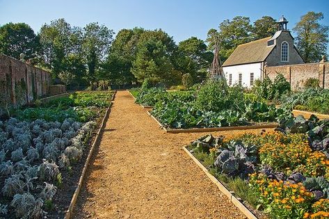 Avebury Manor and Gardens: Avebury Manor - Victorian Kitchen Garden Victorian Walled Garden, Victorian Kitchen Garden, Avebury Manor, Slains Castle, Manor Kitchen, Medieval Garden, Productive Garden, Walled Gardens, Kitchen Gardening