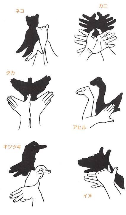 Cat Shadow Puppet, Shadow Puppets With Hands, Shadow Activities, Cat Shadow, Hand Shadows, Pantomime, Beautiful Sea Creatures, Scrapbook Book, Preschool Art Activities