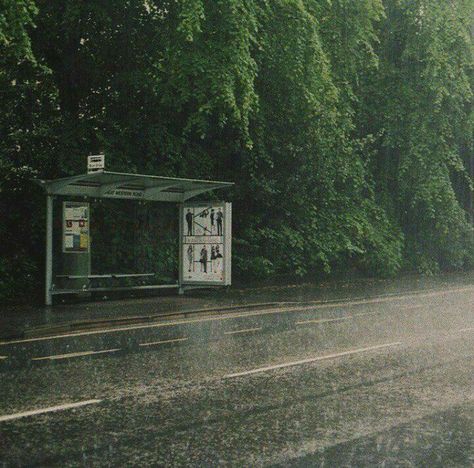 paisagem verde vibes aesthetic chuva soft summer Rain Header, Notion Icons, Rainy Street, Dark Naturalism, Rainy Day Aesthetic, I Love Rain, Creepy Stuff, Photographie Inspo, Tablet Wallpaper