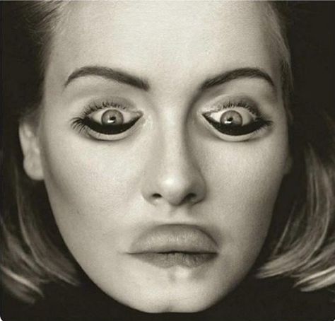 Upside Down Pictures, Image Illusion, Adele Pictures, Illusion Kunst, Optical Illusions Pictures, Funny Optical Illusions, Eye Illusions, Funny Faces Pictures, Funny Illusions