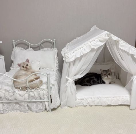 Cat Bedroom, Animal Room, Cute Bedroom Decor, Cute House, Dream Apartment, Cat Room, My Future, Room Inspiration Bedroom, Animal Decor