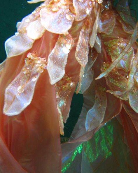 Orange Mermaid Tail Aesthetic, Orange Mermaid Aesthetic, Pink Mermaid Aesthetic, Orange Mermaid Tail, Mermaid Tail Aesthetic, Melody Aesthetic, Orange Mermaid, Yellow Mermaid, Mermaid Board