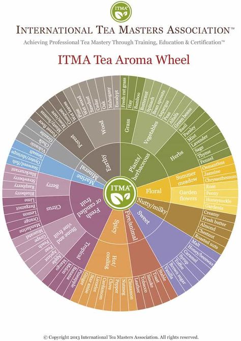 Flavor Wheel, Guide To Tea, Tea Blends Recipes, Notes Life, Herbal Teas Recipes, Tea Culture, Herb Tea, Tea Tasting, Types Of Tea