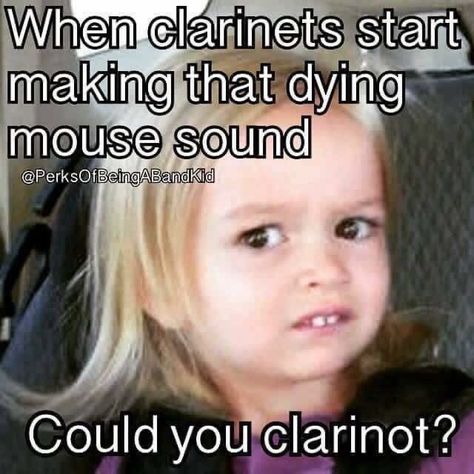 Clarinet Jokes, Funny Band Jokes, Musician Jokes, Marching Band Jokes, Marching Band Memes, Band Problems, Musician Humor, Marching Band Humor, Band Jokes