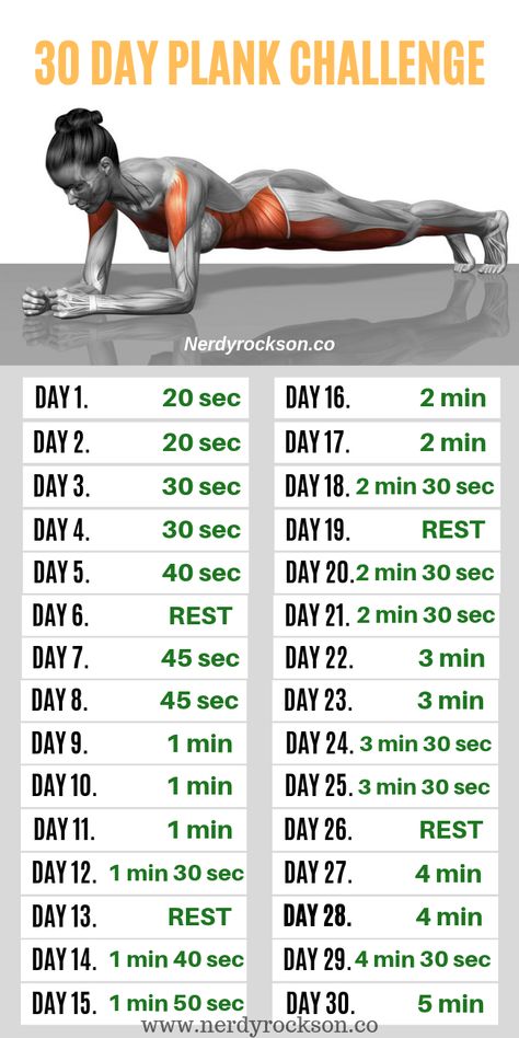 Daily Ab Workout, Plank Exercise, Simple Workout, 30 Day Plank, 30 Day Plank Challenge, Latihan Kardio, Workout Bauch, Plank Challenge, Month Workout