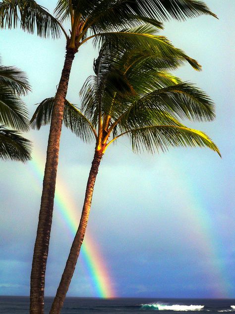 i miss 70s all year round with afternoon rain showers and rainbows Rainbow Photos, Double Rainbow, Back Round, Alam Yang Indah, Beautiful Rainbow, Over The Rainbow, Big Island, Tropical Paradise, A Rainbow