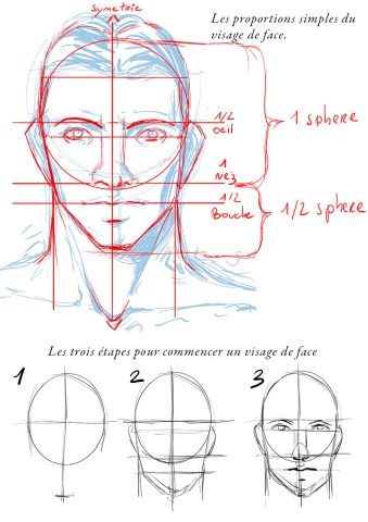 Realistic Face Drawing, Drawing Proportions, Garderobe Design, Face Proportions, Human Body Drawing, 얼굴 드로잉, Drawing Tutorial Face, Drawing Heads, Face Drawing Reference