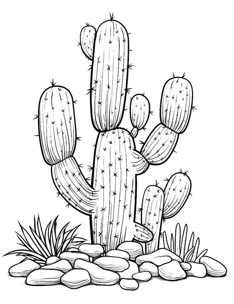 Cactus with Desert Rocks: A cactus surrounded by interestingly shaped desert rocks and pebbles. (Free Printable Coloring Page for Kids) How To Draw A Cactus, Longhorn Skull Drawing, Cactus Drawings, Cactus Sketch, Cactus Outline, Desert Rocks, Sketchbook Spreads, Desert Scenes, Cactus Printable