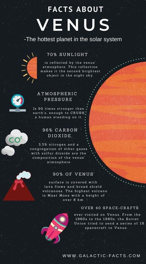 Venus Facts, Solar System Facts, Solar System Projects, Sistem Solar, Astronomy Facts, Planet Venus, Astronomy Science, Foto Langka, Cool Science Facts